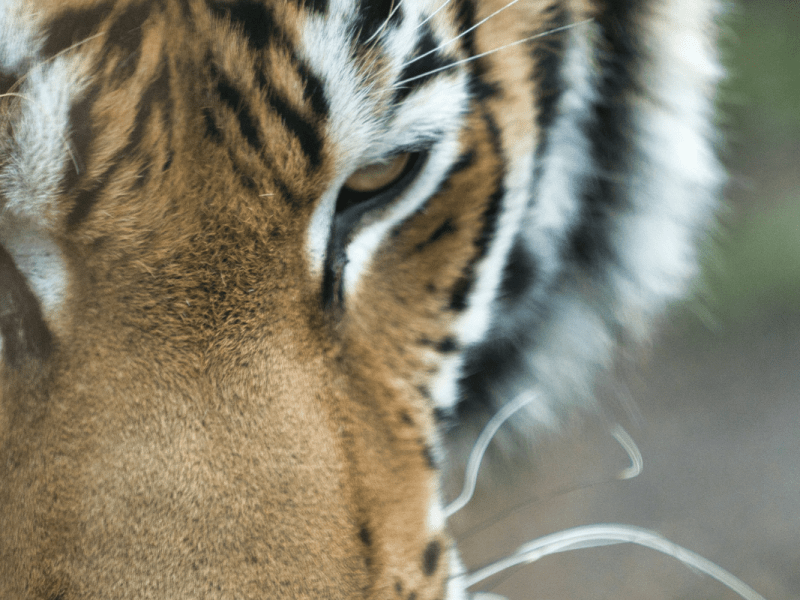 zoo leipzig