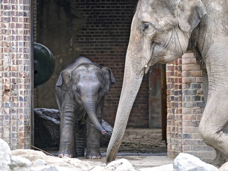 Zoo Leipzig