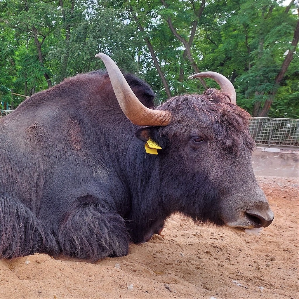 Zoo Erfurt