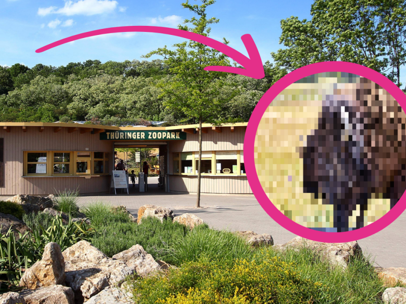 Zoo Erfurt