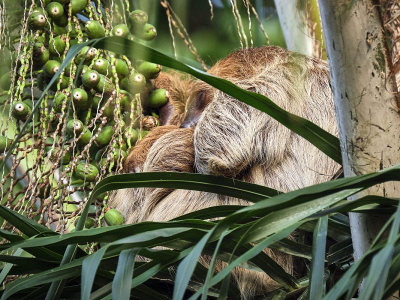 Zoo Leipzig