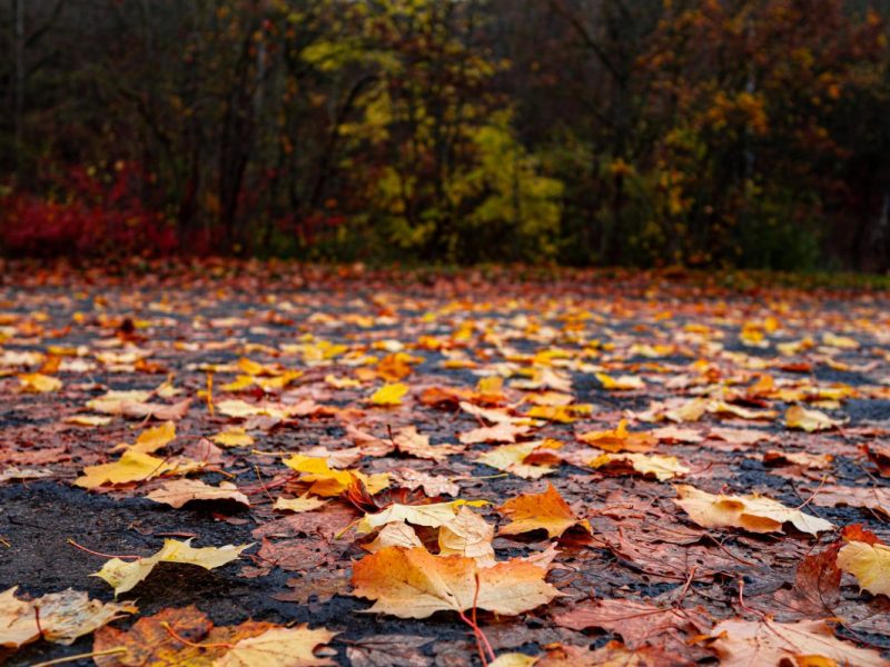 Wetter Thüringen