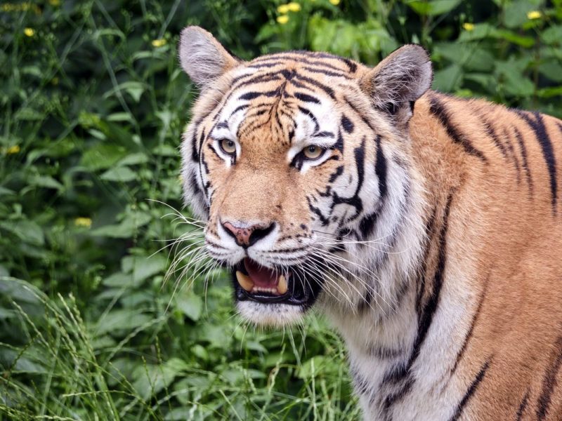 zoo leipzig