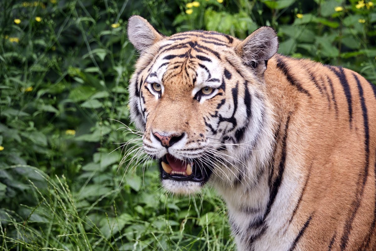 zoo leipzig