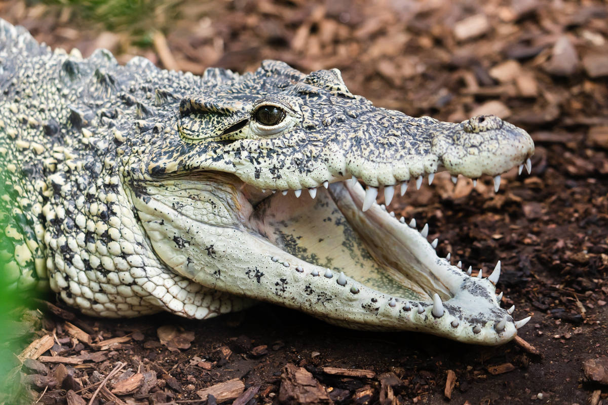 zoo leipzig