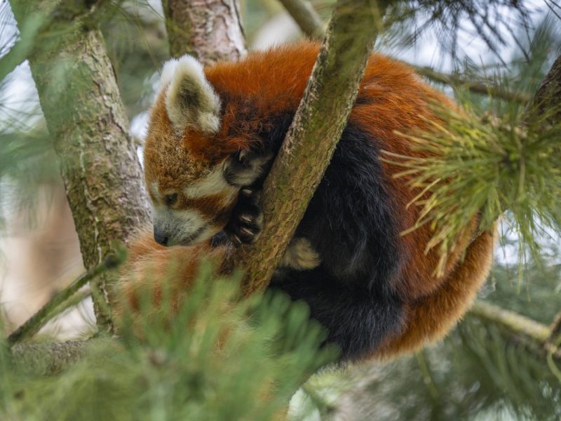 Zoo Erfurt