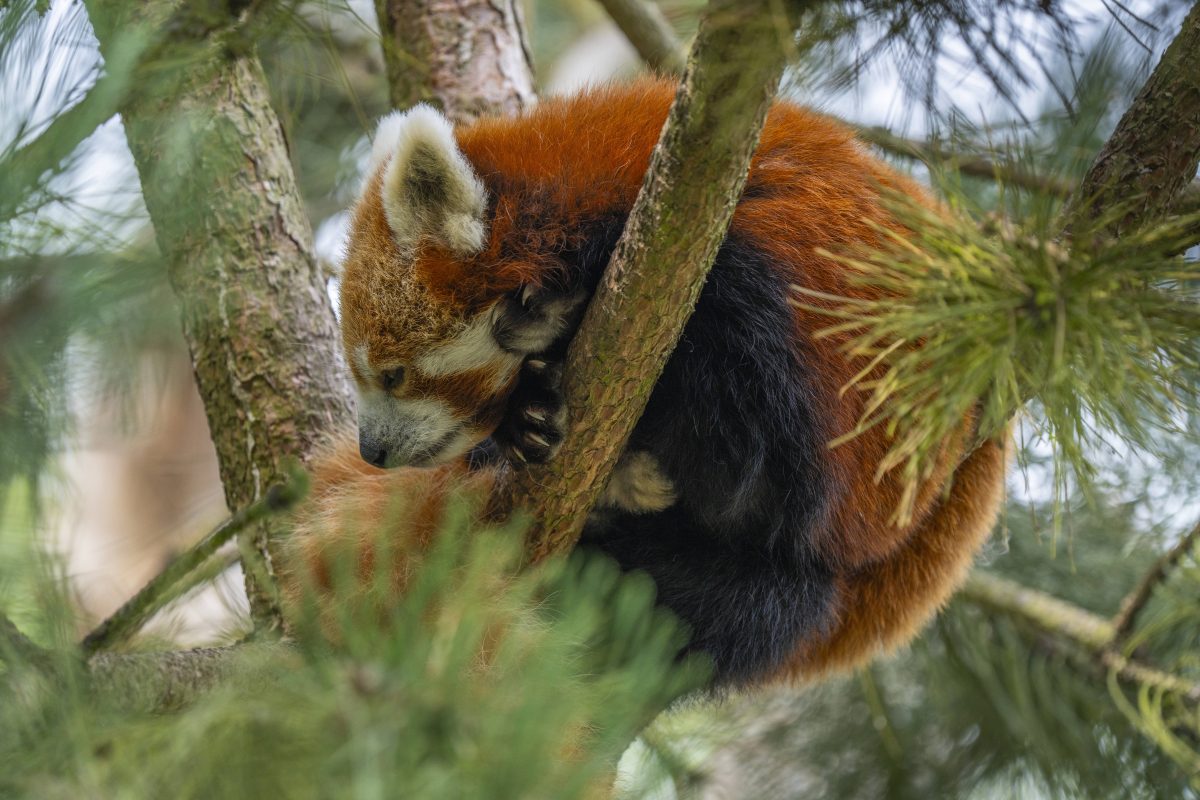 Zoo Erfurt