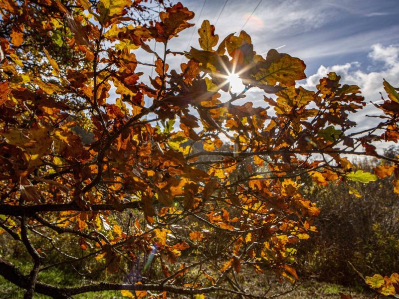 Wetter im Herbst