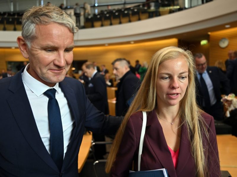 Als AfD-Obfrau für den Ausschuss wurde die Abgeordnete Wiebke Muhsal benannt.