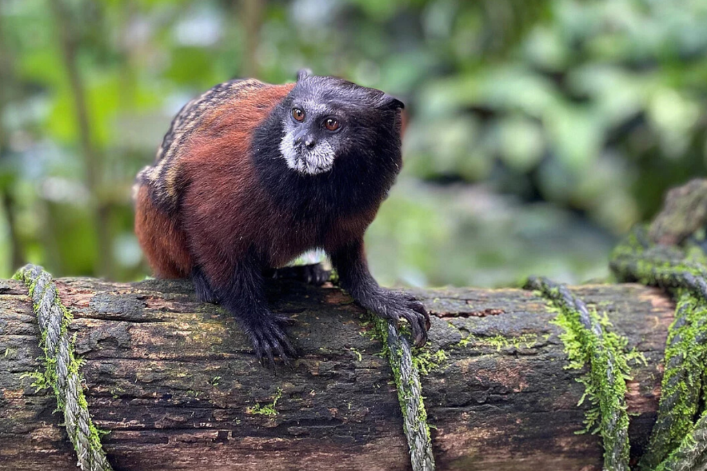 Zoo Leipzig