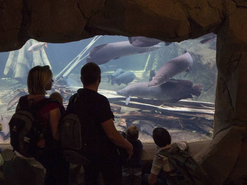 Zoo Leipzig