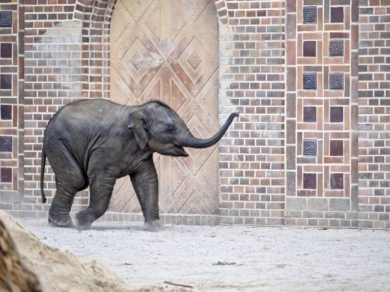 Zoo Leipzig
