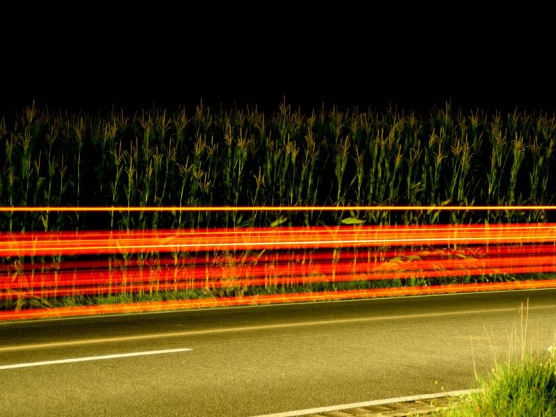 Die Thüringer Polizei hat einen Mann in einem Maisfeld erwischt, der vorher für mächtig Chaos gesorgt hatte.