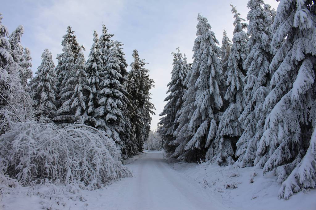 Der Rennsteig in Thüringen im Winter 