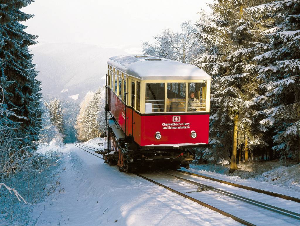 Thüringer Wald, eingeschneit mit Schwarzatal-Bahn