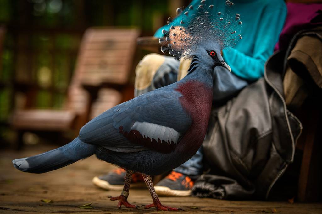 Zoo Leipzig