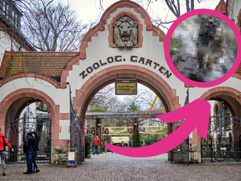 Zoo Leipzig