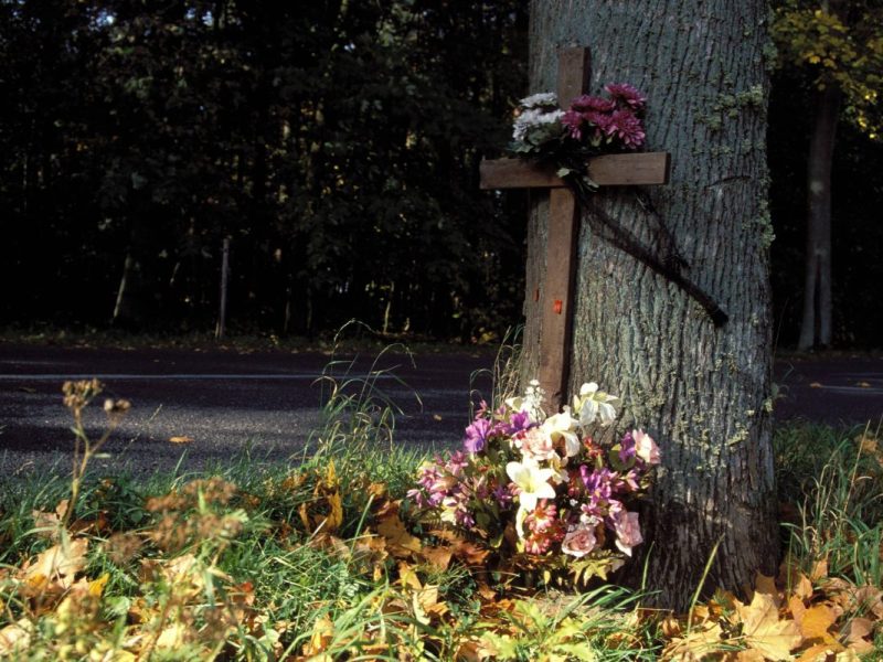 Thüringen: Tödlicher Baum-Unfall! Autofahrer hat keine Chance