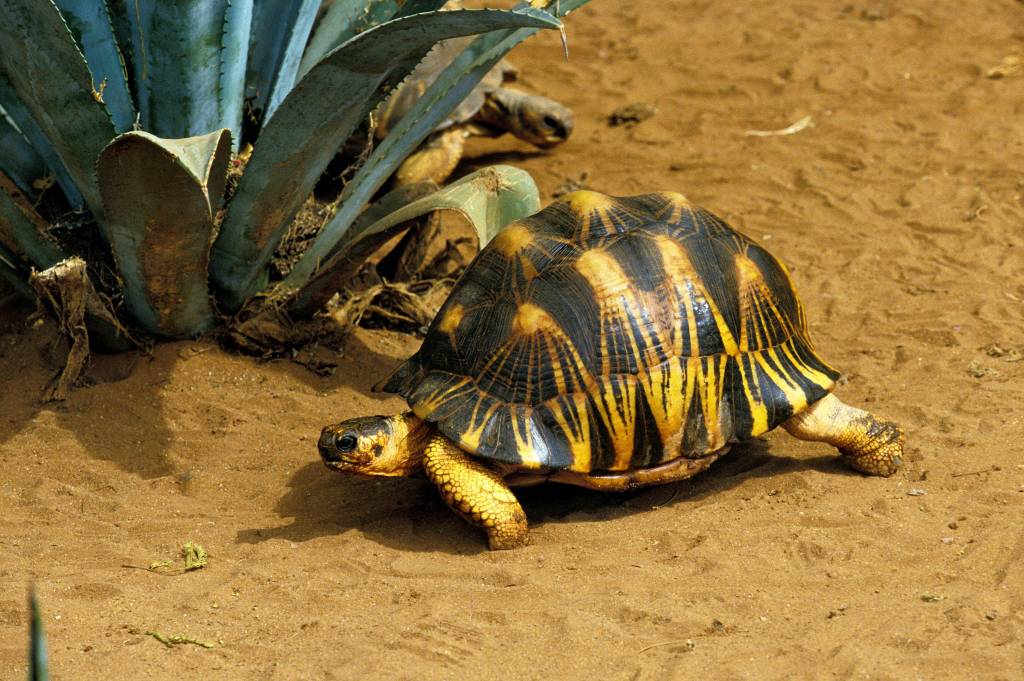 zoo leipzig