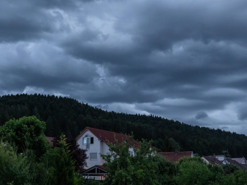 Wetter in Thüringen: Frühling oder Frost? Temperatur-Drama bahnt sich an