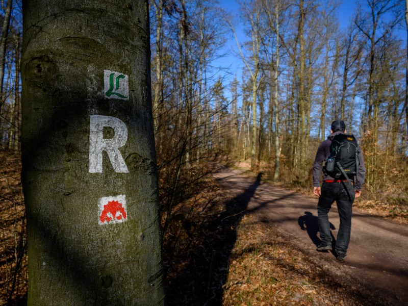 Ein Wanderer läuft über den Thüringer Rennsteig bei der Drachenschlucht in Eisenach.