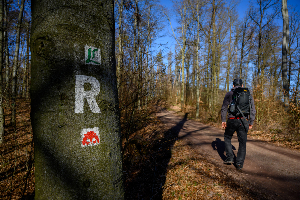 Ein Wanderer lÃ¤uft Ã¼ber den ThÃ¼ringer Rennsteig bei der Drachenschlucht in Eisenach.