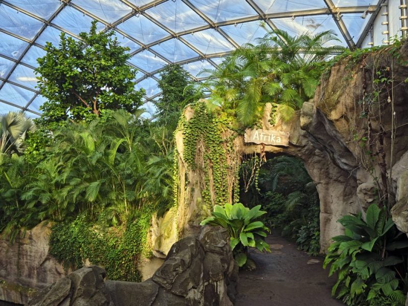 Das Gondwanaland im Zoo Leipzig.