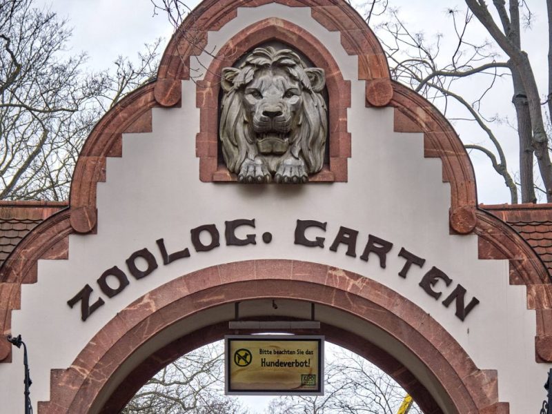 Der Eingangsbereich vom Zoo Leipzig (Symbolbild)