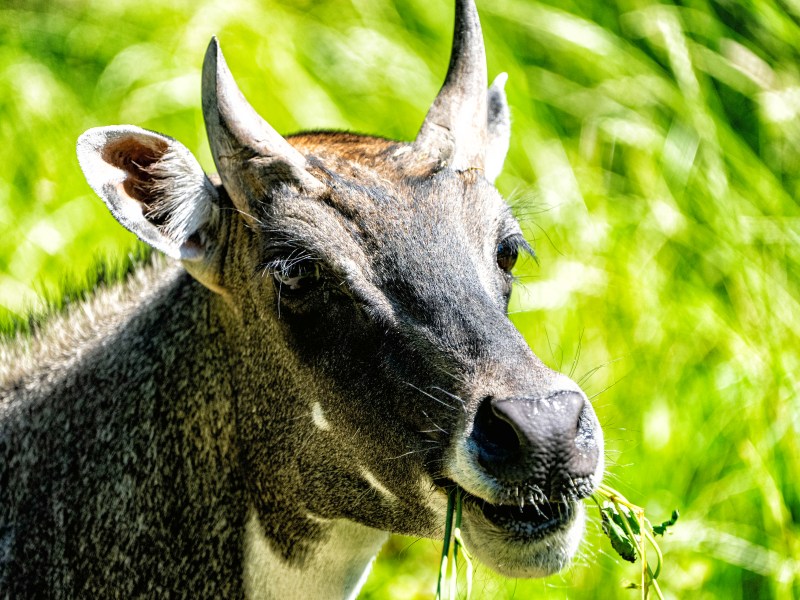 zoo leipzig