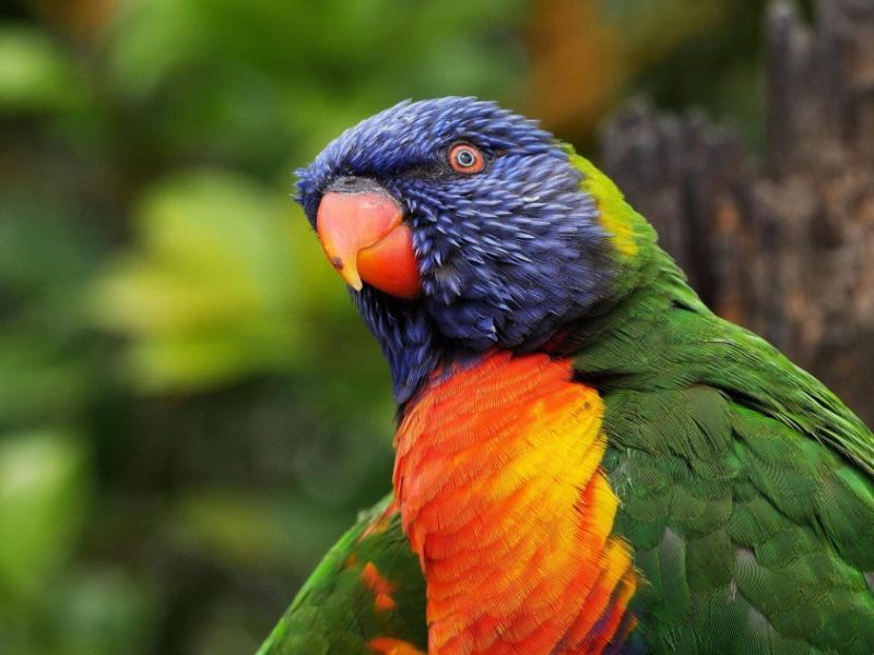 zoo leipzig