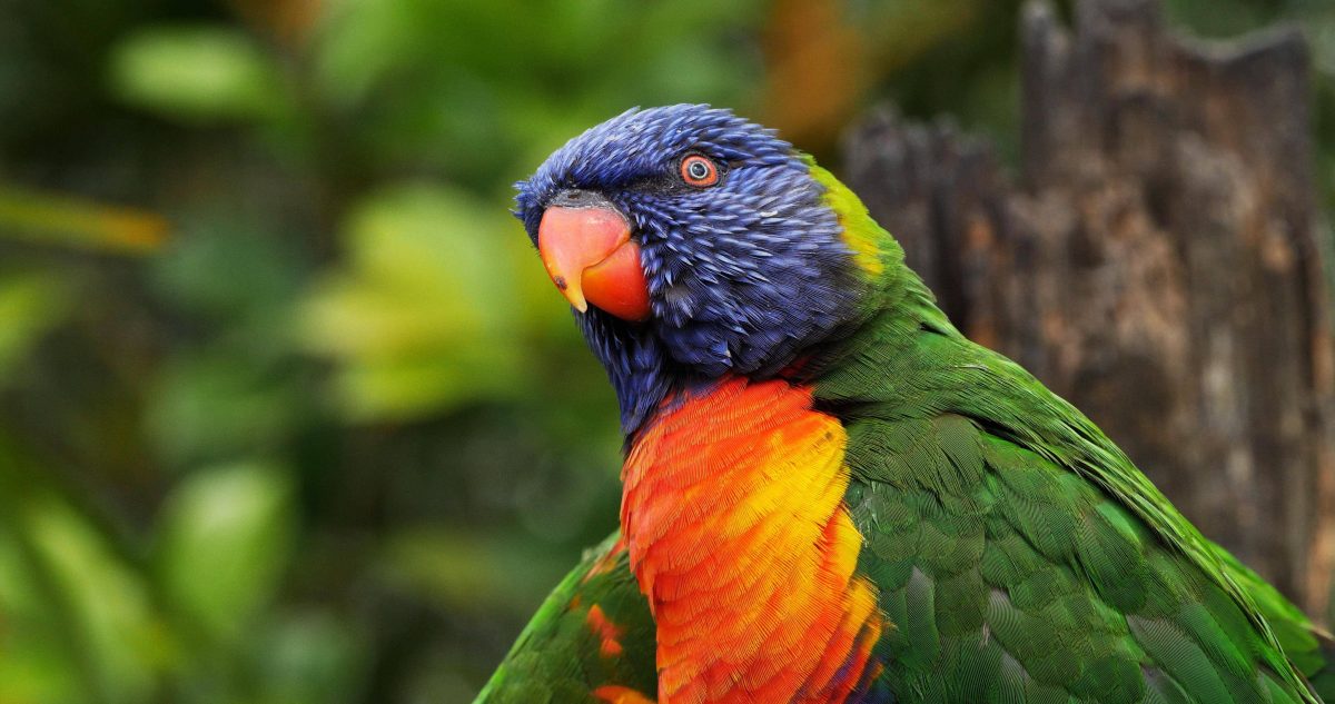 zoo leipzig