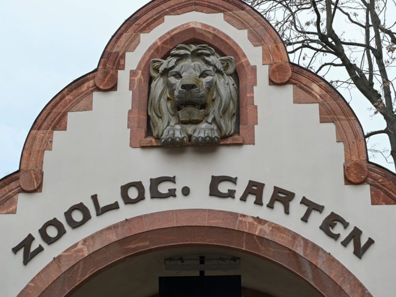 zoo leipzig