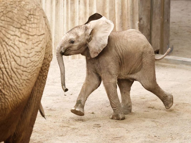 Zoo Erfurt