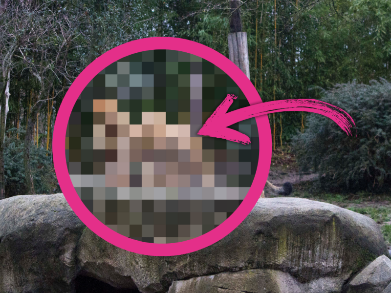 zoo leipzig