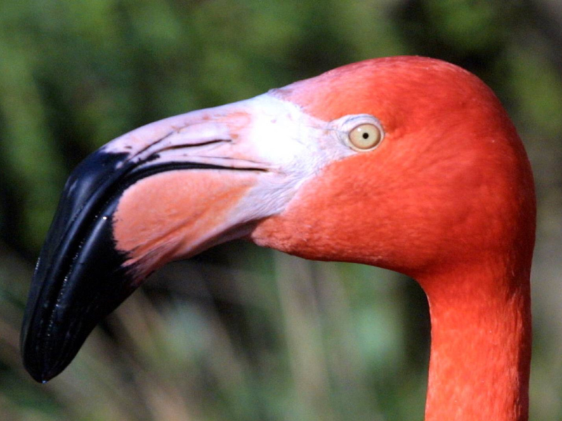 zoo leipzig
