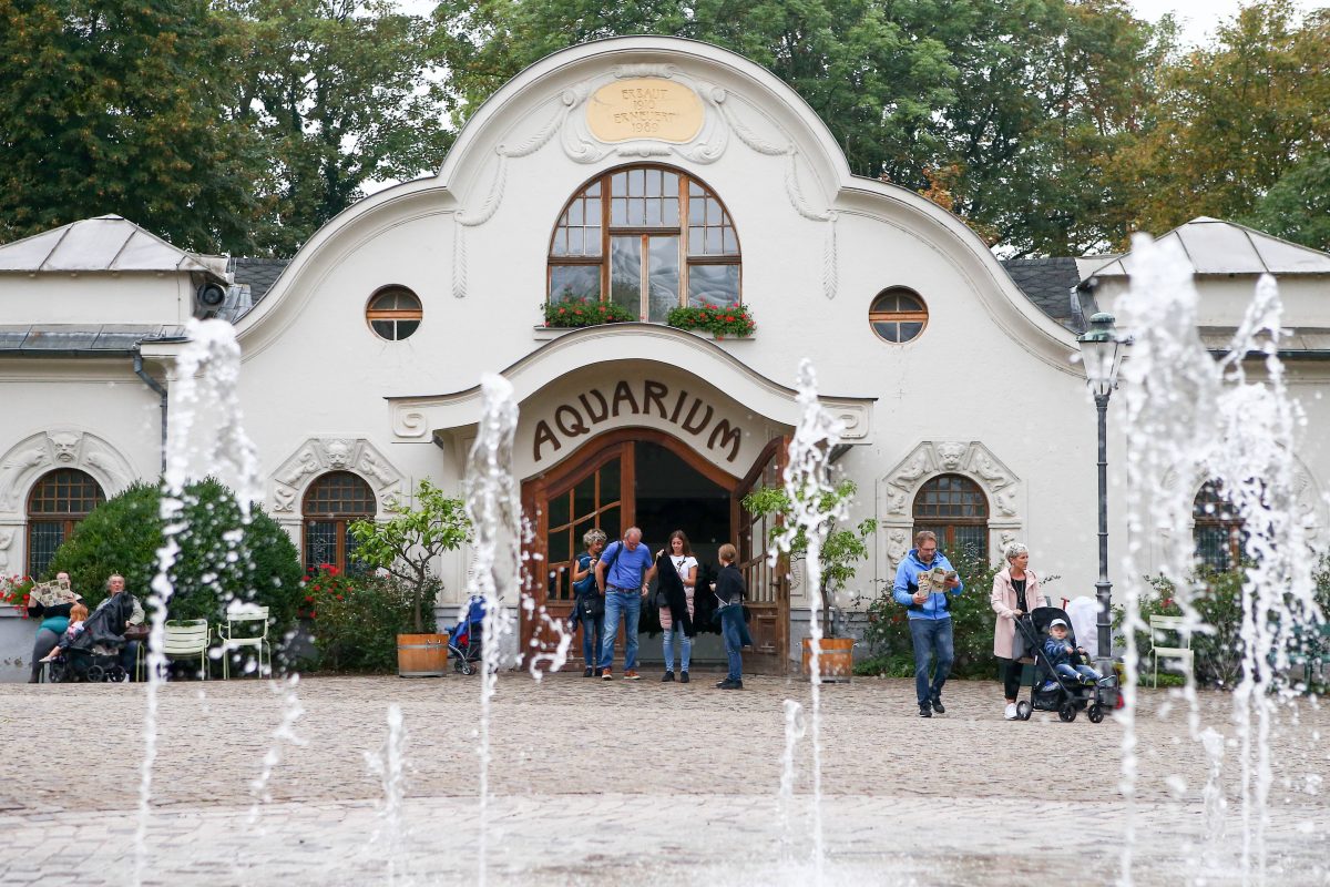 Eingang des Aquariums mit Springbrunnen im Zoo Leipzig (Symbolbild)