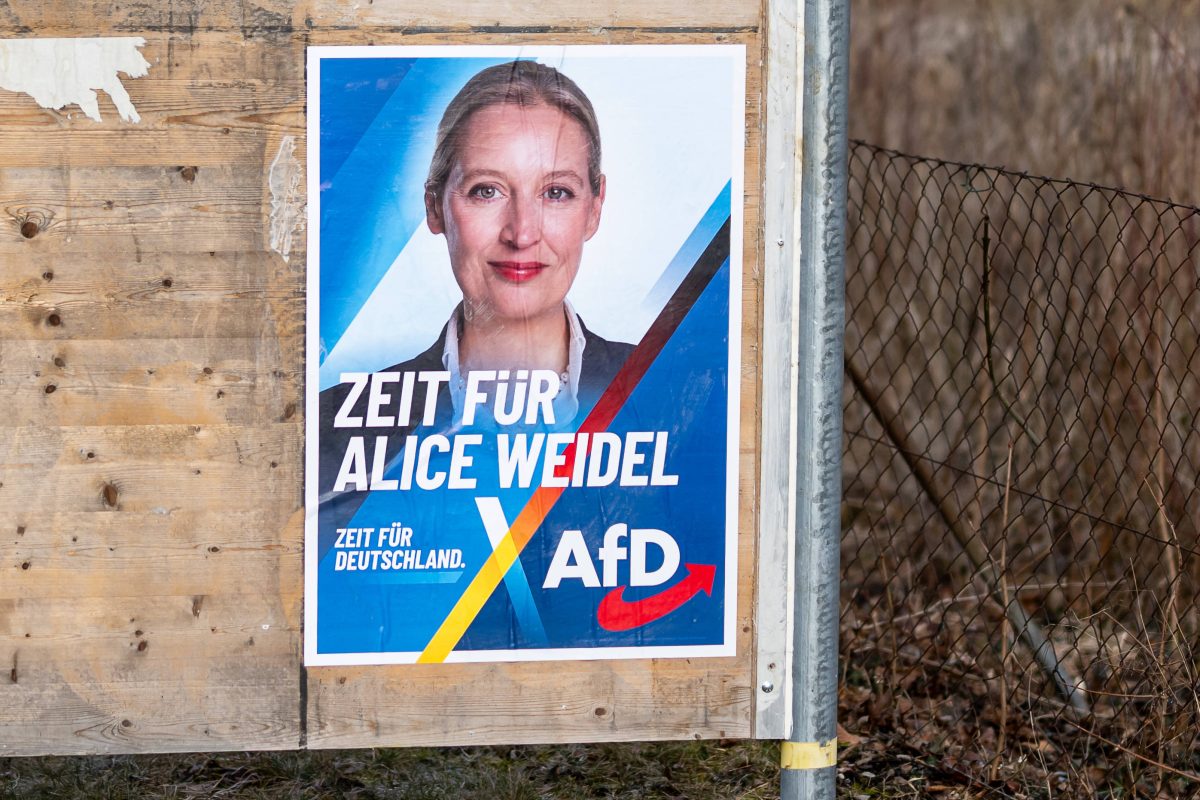 Alice Weidel und ihr Umfrage-Hoch.