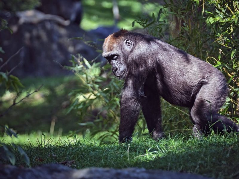 zoo leipzig