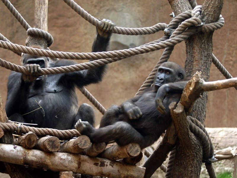 Zoo Leipzig