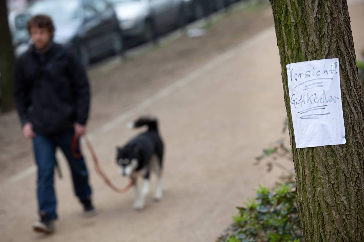 Ein Hund in ThÃ¼ringen hat einen GiftkÃ¶der entdeckt.