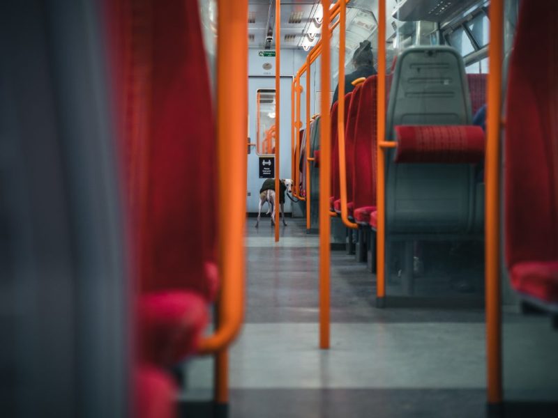 Eine junge Frau bekommt in der Straßenbahn eine grausame Szene mit. (Symbolbild)