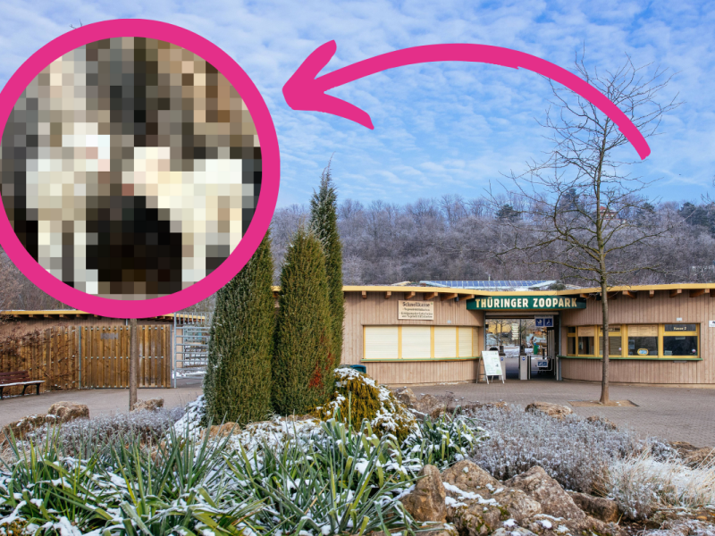 zoo erfurt