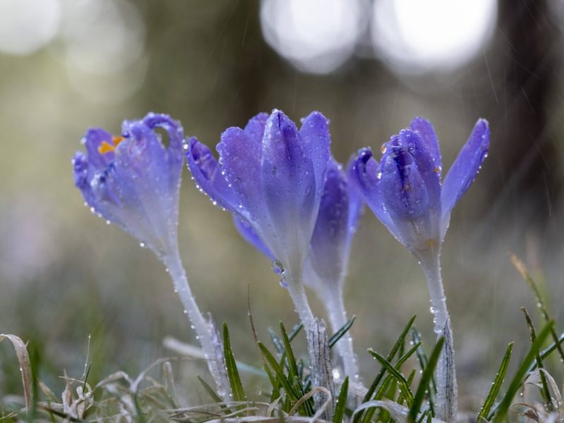 Wetter in Thüringen