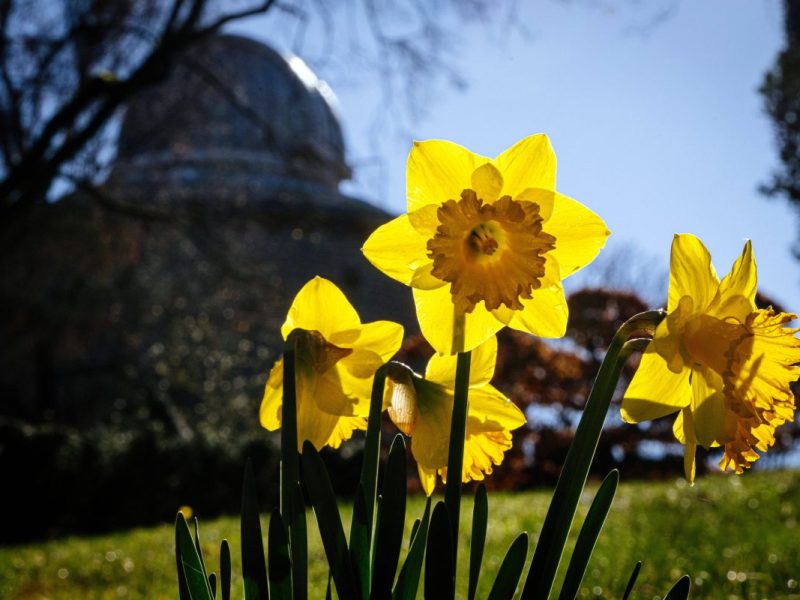 Der Frühling macht sich auch in Thüringen breit.