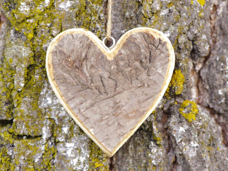 Grußkarte zum Valentinstag Grußkarte zum Valentinstag mit geschnitztem Herz am Baumstamm, Partnerwechsel im Zoo Leipzig (Symbolbild)