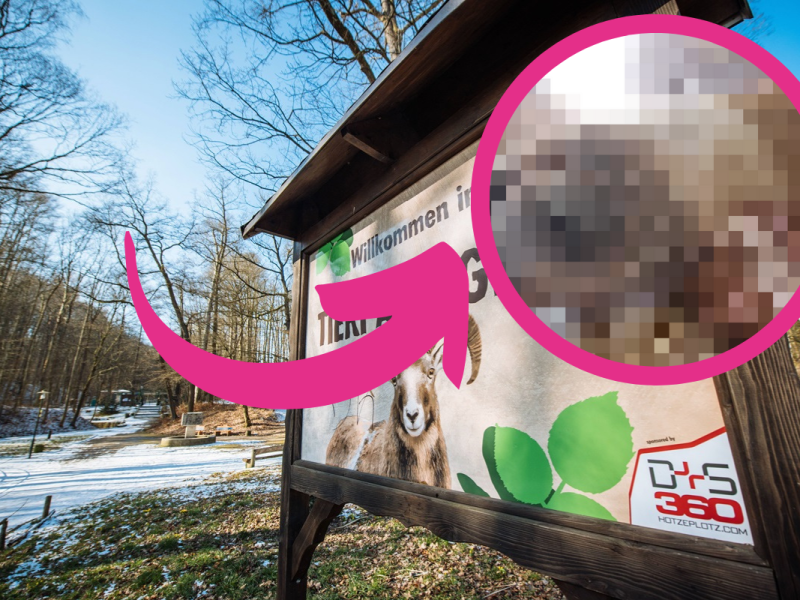 Der Tierpark Gera freut sich über viele neue Tierbabys.