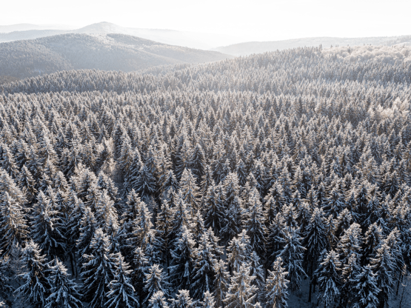 wetter-thueringen
