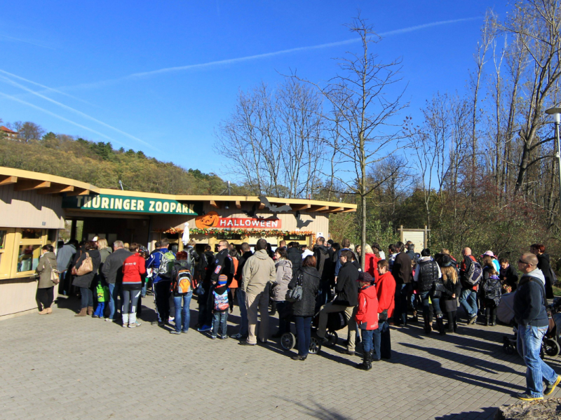 Zoo Erfurt: Traurige Gewissheit für Besucher! HIER gehen die Lichter aus