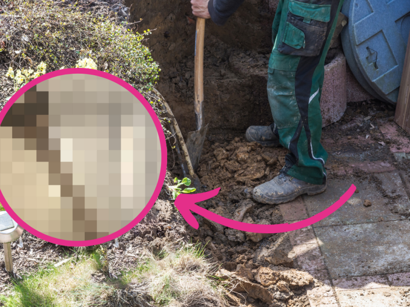 Schock-Fund auf einer Baustelle im Freistaat.