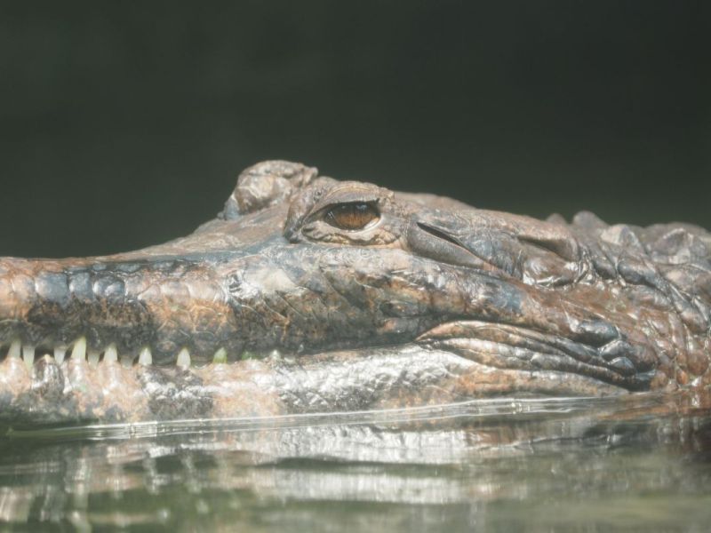 zoo-leipzig